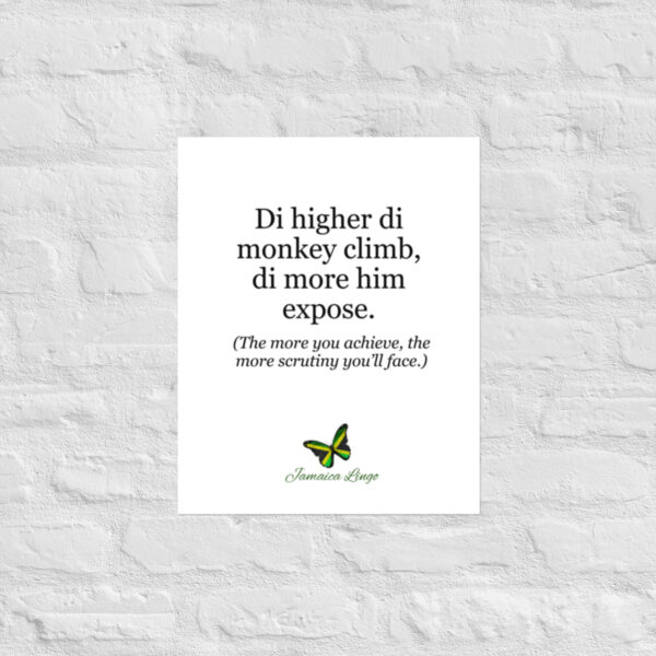 Higher d monkey climb - Poster - Image 11
