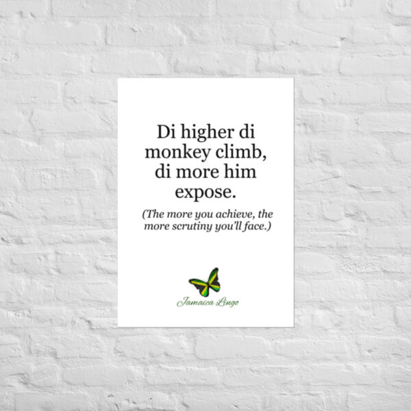 Higher d monkey climb - Poster - Image 2