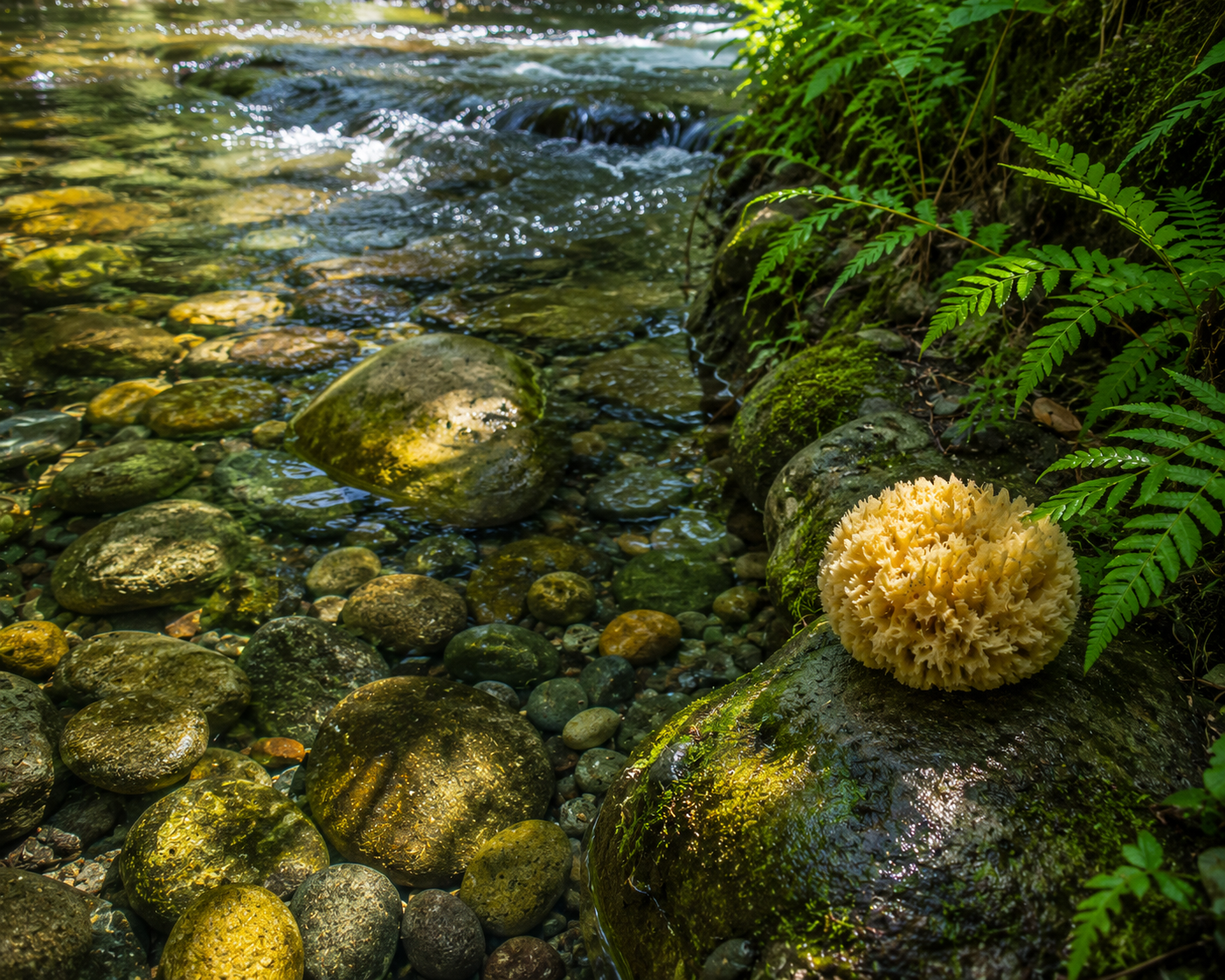 Stone Deh a River Bottom Long Time, But It Still Cyaan Turn Sponge